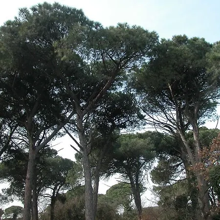 Bianchi ホテル 2*