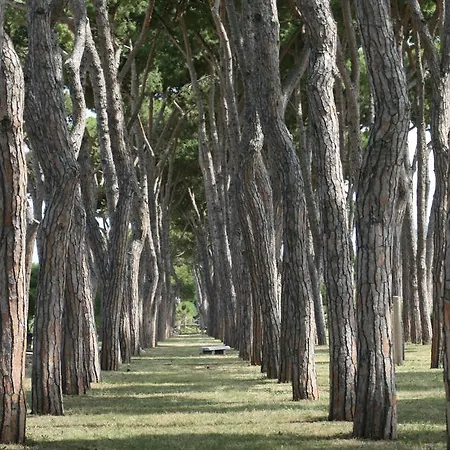 ホテル Bianchi 2*