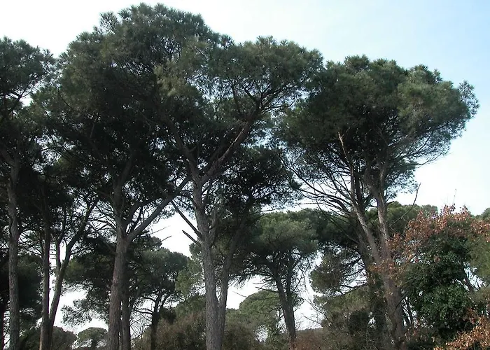 Bianchi Ξενοδοχείο 2*